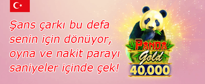 Popüler Slotlarda Bedava Dönüş promotion